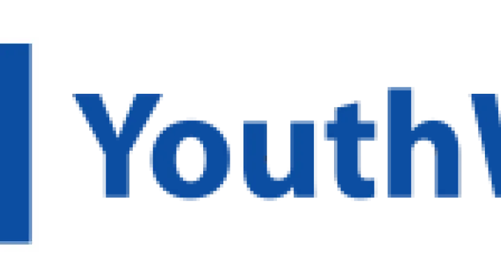 Logo Youth Wiki
