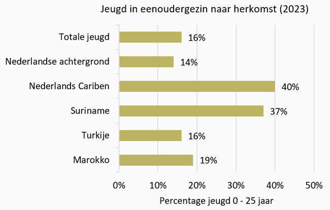Grafiek Percentage jeugd in een eenoudergezin naar herkomst
